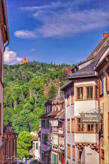 Ferienwohnung Zwischen Weinheim Und Hemsbach Exterior photo